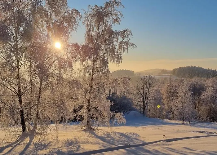 Beskidzki Reset