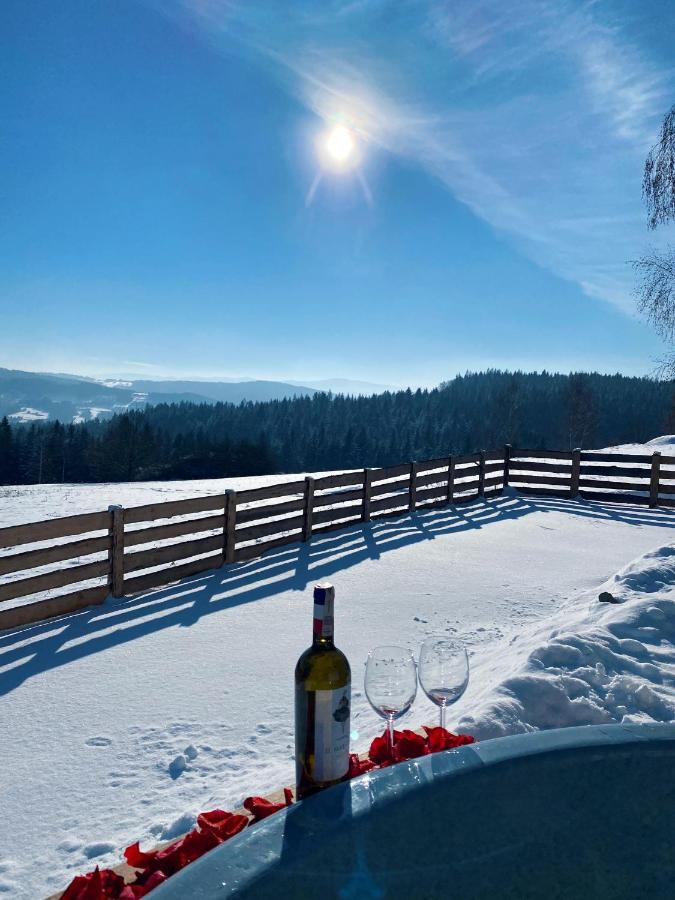Beskidzki Reset * Budzow (Sucha)