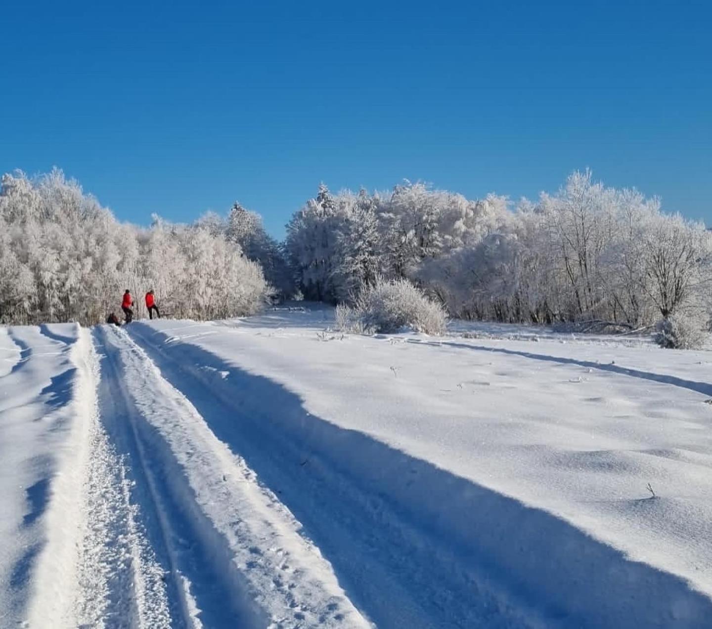 Chalet Beskidzki Reset
